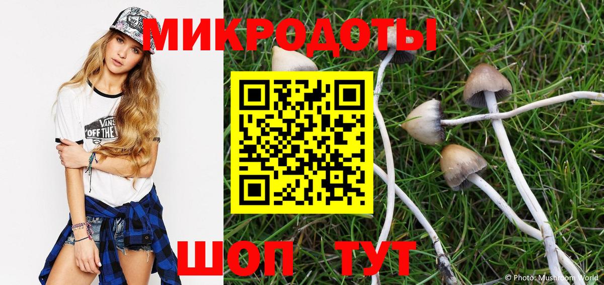 Псилоцибиновые грибы Psilocybine cubensis Новоалтайск